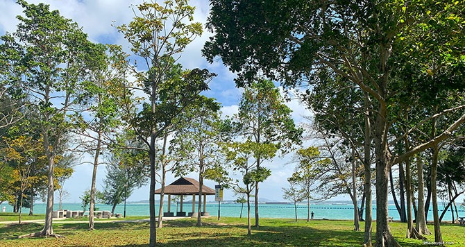 Changi Beach Park Zoom Background Singapore 