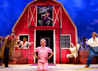 SG Culture Pass: Where To Use It? 12 Activities Under $100 To Attend With Family & Friends Charlotte’s Web by SRT’s The Little Company