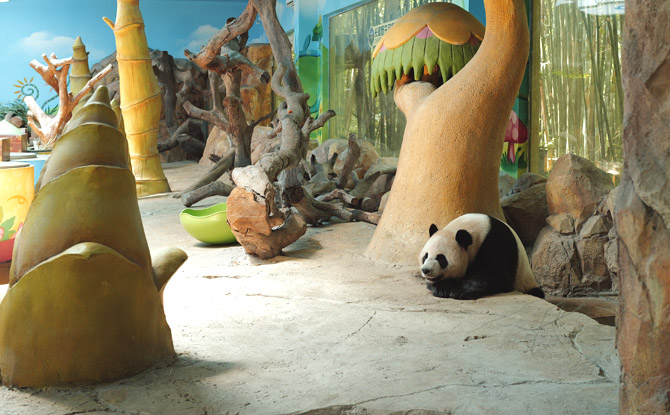 Guangzhou Chimelong Resort's Parks: Family Review 5 Panda Village