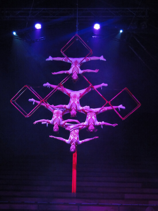 Chinese Knot Acrobat