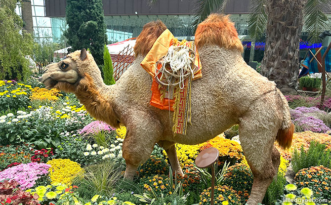 Camel display at Gardens by the Bay