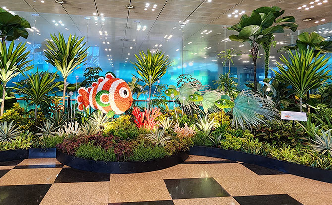 Marine Fantasy Floral Displays At Changi Airport Terminal 2 & 3 Marine Fantasy Floral Displays At Changi Airport Terminal 2 & 3