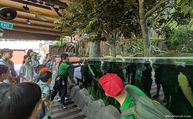 gained special early admission to River Wonders