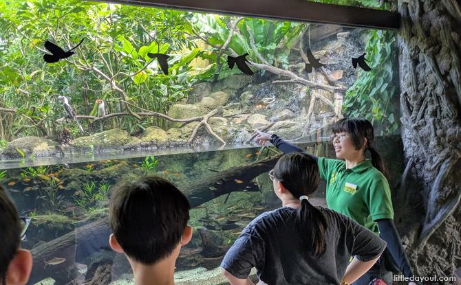 Awesome Colugo Camp Facilitators