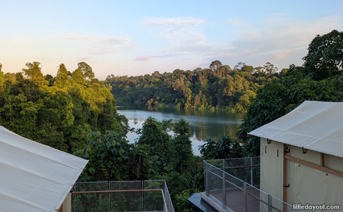 Our 4-Person Safari Tent
