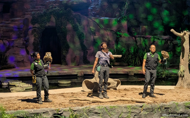 Tours to Singapore Zoo, Night Safari & River Wonders