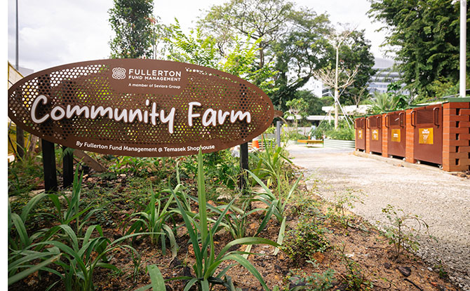 Temasek Shophouse: Outdoor Community Space, Along With Co-Working, Event & Shared Spaces And Heritage Conservation 2 community farm