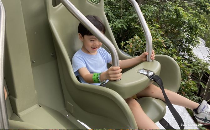 Crocodile Lodge At Rainforest Wild Adventure: A Different Kind of Staycation 4 Adventure at Your Doorstep, Canopy Gliders and Cliffside Challenges
