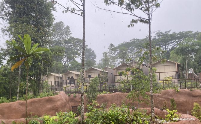 Crocodile Lodge At Rainforest Wild Adventure: A Different Kind of Staycation 1 Crocodile Lodge's First Impressions, A Staycation That Feels Unexpectedly Different