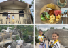 Crocodile Lodge At Rainforest Wild Adventure: A Different Kind of Staycation Crocodile Lodge At Rainforest Wild Adventure: A Different Kind of Staycation