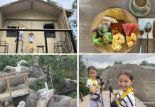 Crocodile Lodge At Rainforest Wild Adventure: A Different Kind of Staycation Crocodile Lodge At Rainforest Wild Adventure: A Different Kind of Staycation