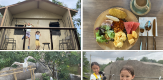 Crocodile Lodge At Rainforest Wild Adventure: A Different Kind of Staycation