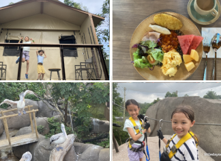 Crocodile Lodge At Rainforest Wild Adventure: A Different Kind of Staycation Crocodile Lodge At Rainforest Wild Adventure: A Different Kind of Staycation