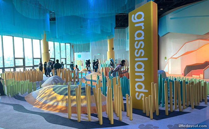 Curiosity Cove At Mandai Wildlife East: Indoor Playscape With 4 Zones For Kids To Play & Discover 9 Grasslands at Curiosity Cove