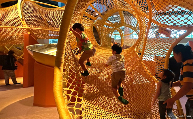 Curiosity Cove At Mandai Wildlife East: Indoor Playscape With 4 Zones For Kids To Play & Discover 16 Underground Gallery