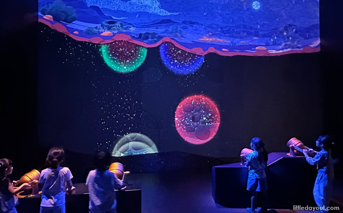 Curiosity Cove At Mandai Wildlife East: Indoor Playscape With 4 Zones For Kids To Play & Discover 15 Underground Gallery