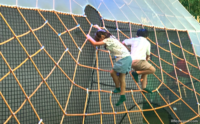 Curiosity Cove At Mandai Wildlife East: Indoor Playscape With 4 Zones For Kids To Play & Discover 7 spider's web climbing net