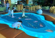 71 Of The Best Indoor Activities For Kids In Singapore Watering Hole