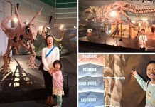 Why My 3 Kids Loved The Dino Exhibition At Science Centre Singapore: Get A Limited-Edition Pin Before It Closes 23 Mar Why My 3 Kids Loved The Dino Exhibition At Science Centre Singapore: Get A Limited-Edition Pin Before It Closes 23 Mar