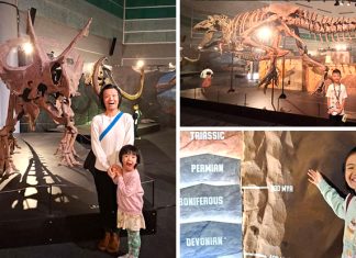 Why My 3 Kids Loved The Dino Exhibition At Science Centre Singapore: Get A Limited-Edition Pin Before It Closes 23 Mar
