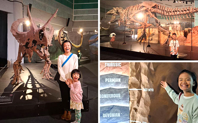Why My 3 Kids Loved The Dino Exhibition At Science Centre Singapore: Get A Limited-Edition Pin Before It Closes 23 Mar Why My 3 Kids Loved The Dino Exhibition At Science Centre Singapore: Get A Limited-Edition Pin Before It Closes 23 Mar