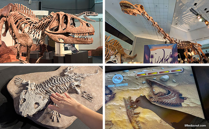 DINOSAURS | EXTINCTIONS | US: Why You Shouldn’t Miss This Supersized Prehistoric Adventure At Science Centre Singapore