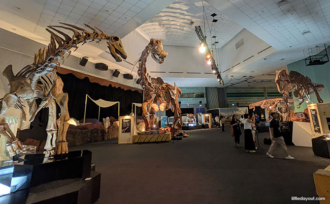 DINOSAURS | EXTINCTIONS | US – Journey Through Time at Science Centre Singapore