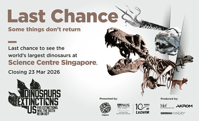 Why My 3 Kids Loved The Dino Exhibition At Science Centre Singapore: Get A Limited-Edition Pin Before It Closes 23 Mar 5 Don’t Miss Your Last Chance to Experience Dinosaurs | Extinction | Us Before It Closes 23 March 2026