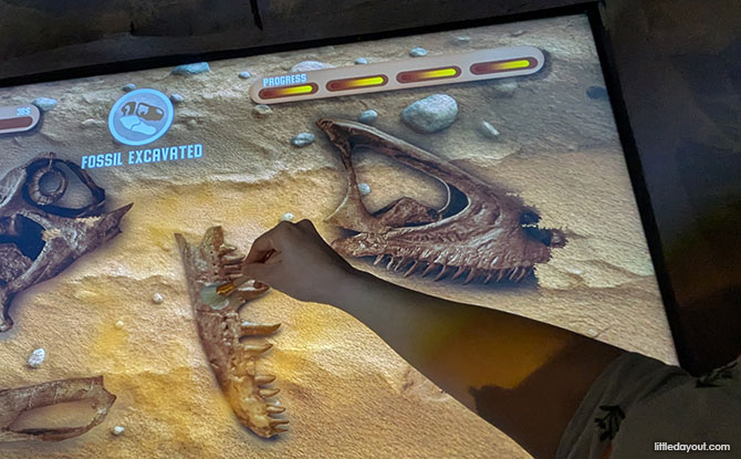 Play a palaeontologist