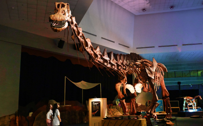 7 Top Reasons To Visit Science Centre Singapore During The Year-End School Holidays 2025 6 Dinosaurs | Extinctions | Us