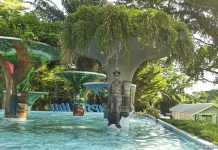 Guide To Dempsey For Families: Kid-friendly Hangouts, Playgrounds, Cafes & Enrichment Guide To Dempsey For Families: Kid-friendly Hangouts, Playgrounds, Cafes & Enrichment