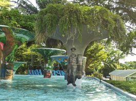 Dempsey Hill Guide For Families: Kid-Friendly Hangouts, Playgrounds, Cafes & Enrichment