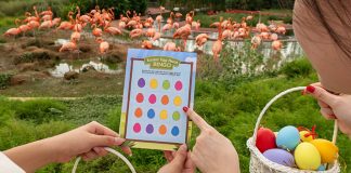 Easter Eggs-travaganza 2026: Easter Egg Hunts & Kids Enter Free