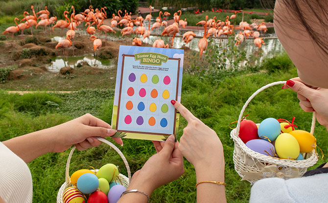 Easter Eggs-travaganza 2026: Easter Egg Hunts & Kids Enter Free 3 The Easter Eggs-ploration