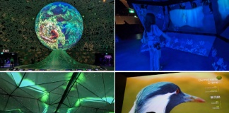 Guide To Exploria: 5 Worlds To Explore At Mandai's New Indoor Multimedia Attraction