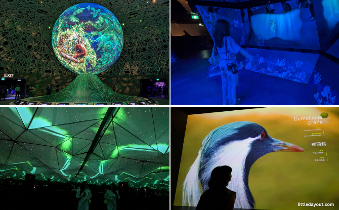 Exploria KV Guide To Exploria: 5 Worlds To Explore At Mandai's New Indoor Multimedia Attraction