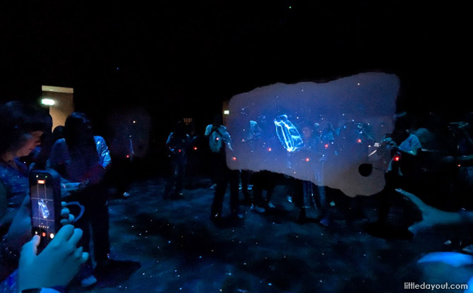 Guide To Exploria: 5 Worlds To Explore At Mandai's New Indoor Multimedia Attraction 18 Feel your way around and try looking for a recent discovery that has yet to be named