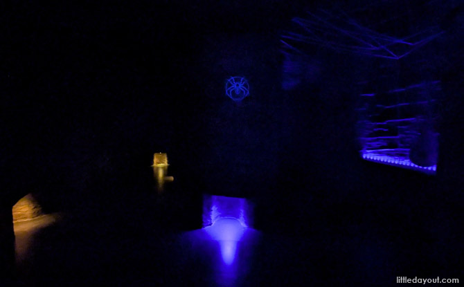 Guide To Exploria: 5 Worlds To Explore At Mandai's New Indoor Multimedia Attraction 16 World of Darkness