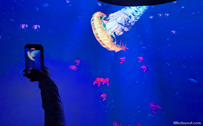 Guide To Exploria: 5 Worlds To Explore At Mandai's New Indoor Multimedia Attraction 19 stunning presentation of jellyfish swimming