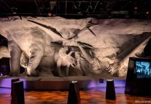 39 Best Museums For Kids In Singapore: A Curated List For Curious Explorers [Updated 2026]