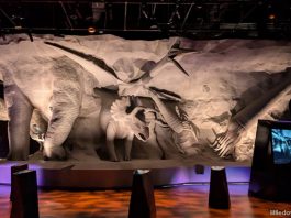 39 Best Museums For Kids In Singapore: A Curated List For Curious Explorers [Updated 2026]