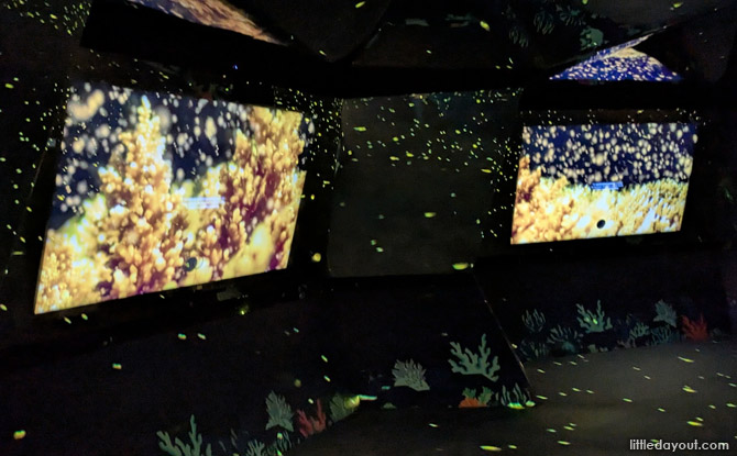 Guide To Exploria: 5 Worlds To Explore At Mandai's New Indoor Multimedia Attraction 8 vibrant reefscapes