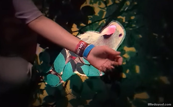 Guide To Exploria: 5 Worlds To Explore At Mandai's New Indoor Multimedia Attraction 7 Infinite Wonderland