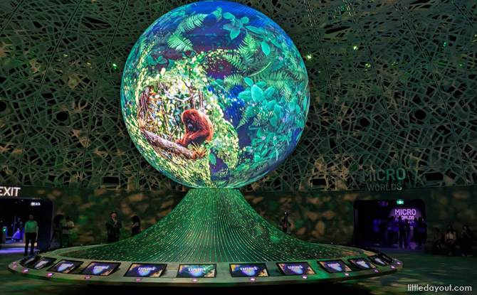 Guide To Exploria: 5 Worlds To Explore At Mandai's New Indoor Multimedia Attraction 3 Biopool: The Heart of the Hub
