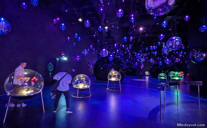 Guide To Exploria: 5 Worlds To Explore At Mandai's New Indoor Multimedia Attraction 12 Micro Worlds