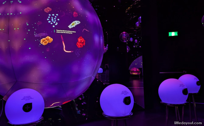 Guide To Exploria: 5 Worlds To Explore At Mandai's New Indoor Multimedia Attraction 13 Interactive glass orbs display magnified microbial ecosystems such as E Coli and Chocolate Tube Slime