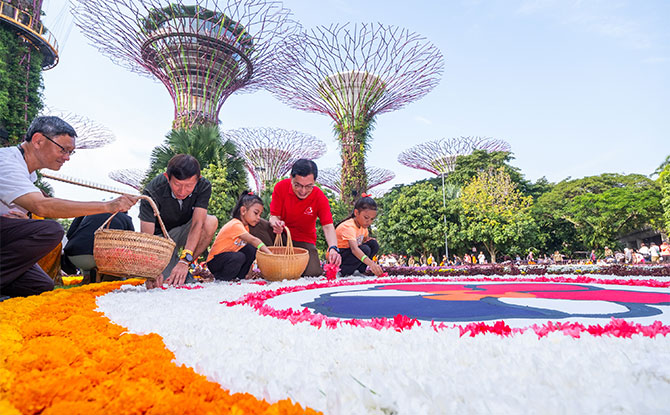 Gardens by the Bay's Flower Carpet at the Supertree Grove