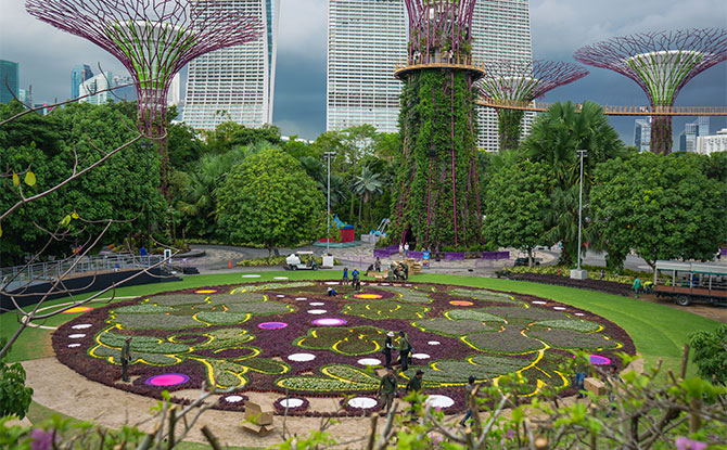 A Singaporean Flower Carpet