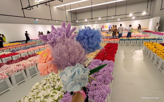 Experience Free Flower Market By Cj Hendry At IMBA Theatre's Gallery This June 2 Local Blooms & Free Entry