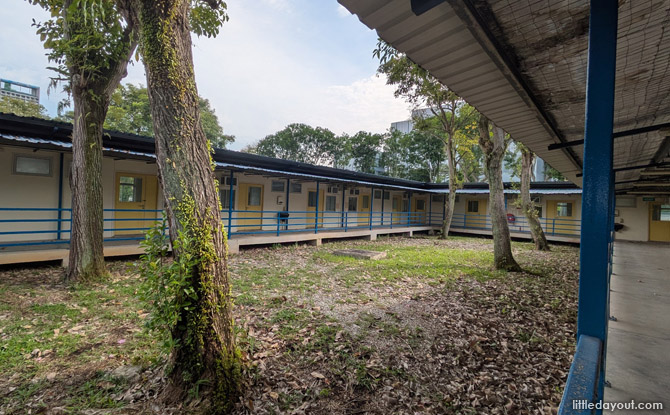 “Department of Communicable Diseases